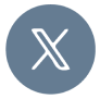 x icon